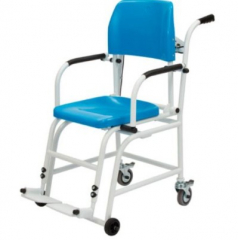 Hoist,Chair & Wheelchair Scales