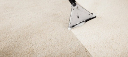 Carpet Care