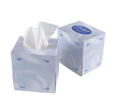 Cloudsoft Facial Tissues Cube 2 ply