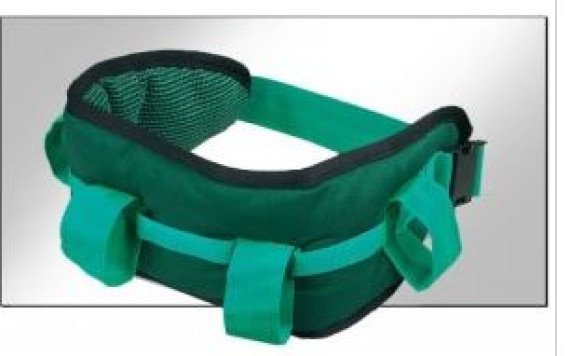 Medium/Large Deluxe Handling Belt