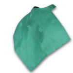 Patient Protector Napkin in Green