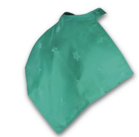 Patient Protector Napkin in Green