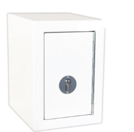 Controlled Drugs Storage Cabinet 17 Ltr with Key Lock