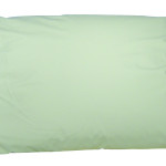 Hollow Fibre Non Washable Pillow