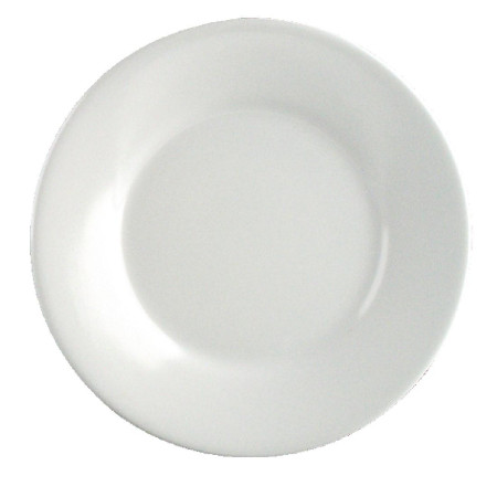 6" lightweight melamine plates