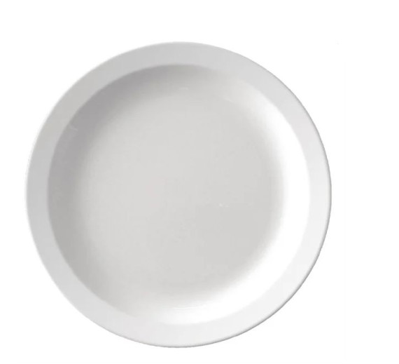 10" Lightweight Melamine Plate Pack of 6