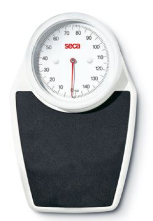 Seca 761 Scale