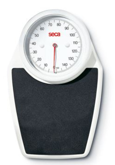 Seca 761 Scale