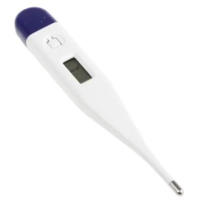 Thermometer - Patient Oral - Digital
