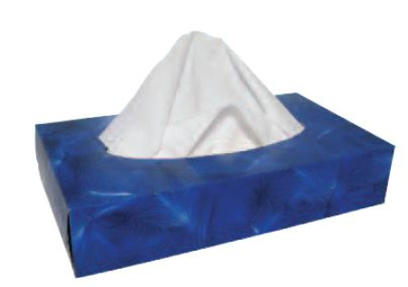 Large Facial Tissues 2 Ply