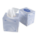 Softy Standard Facial Tissues